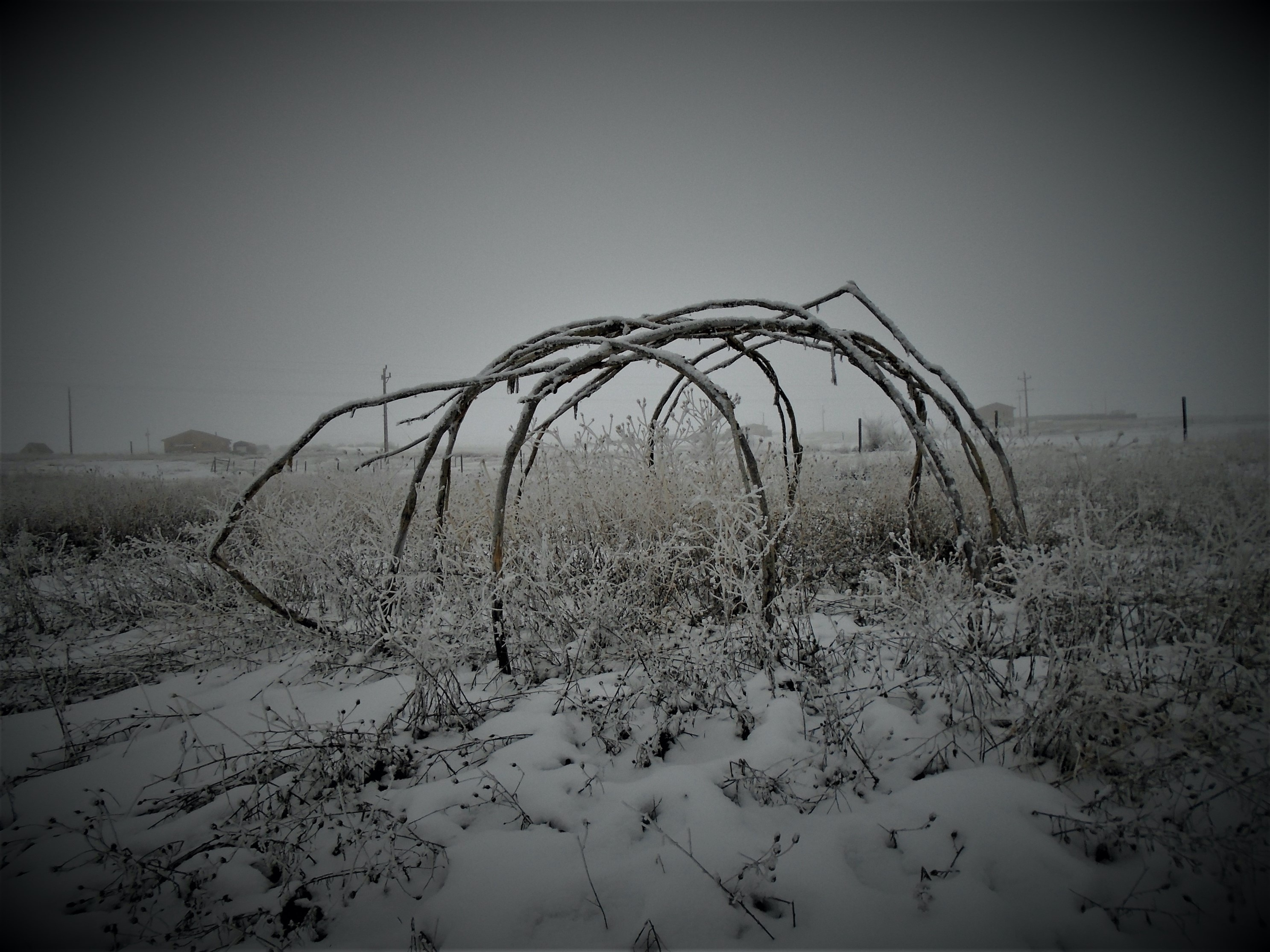 Photograph of a structure